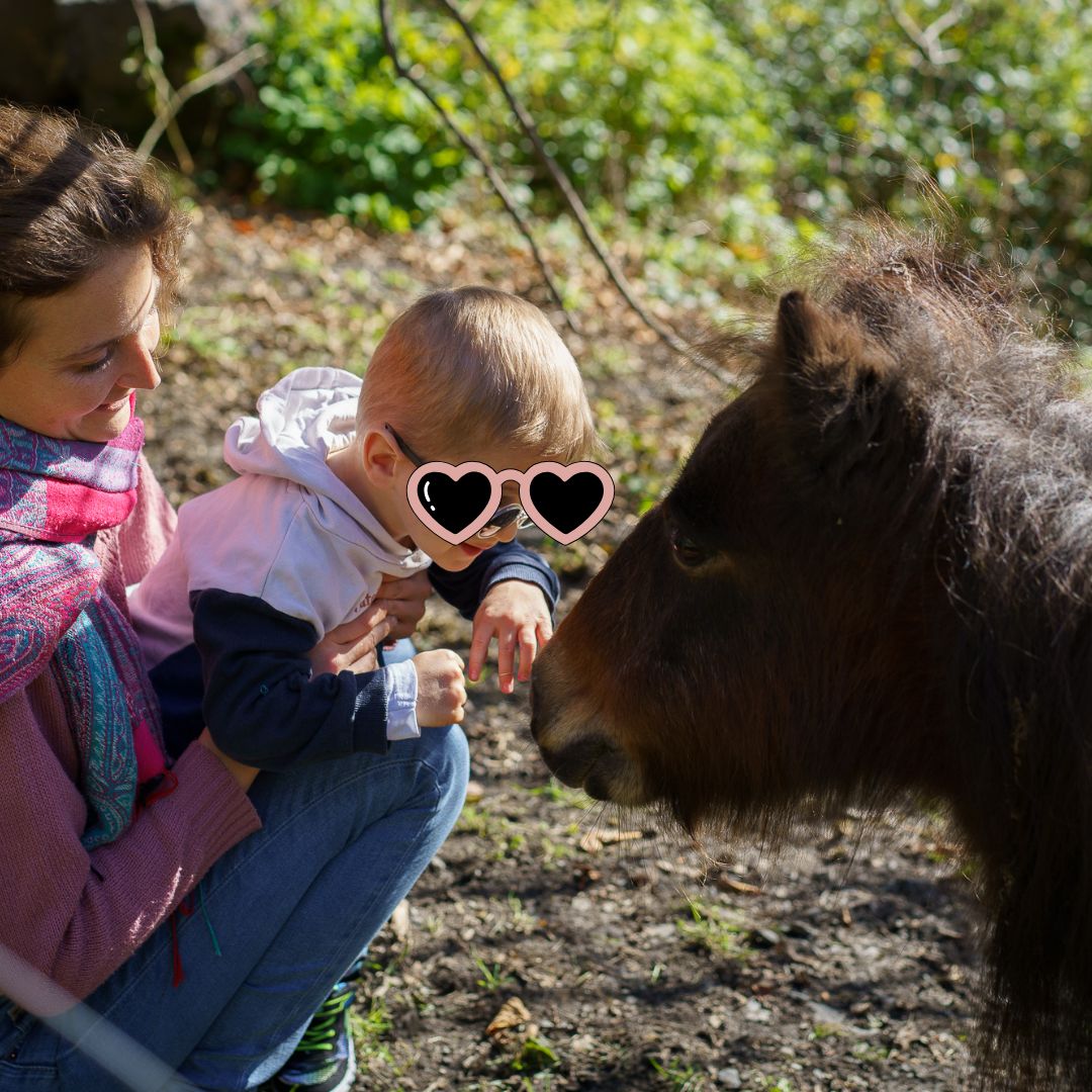 rééducation intensive en immersion dans une ferme équestre
