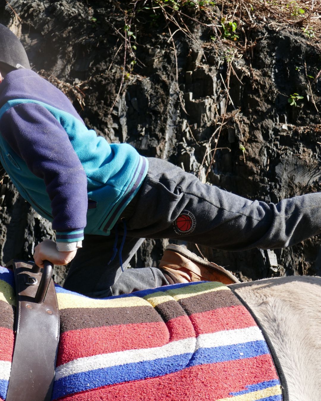 hippothérapie équithérapie en Ariège